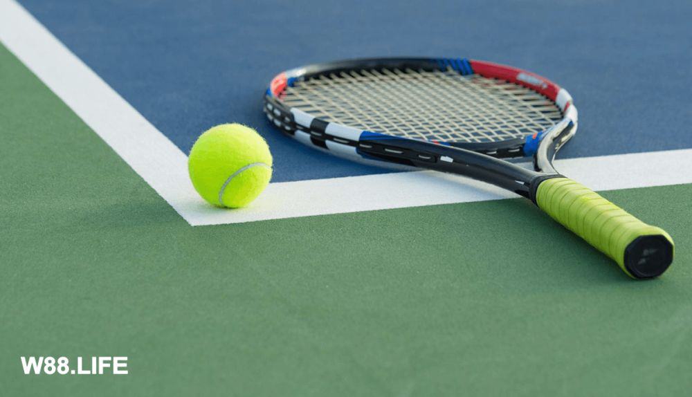 vợt tennis và bóng nỉ